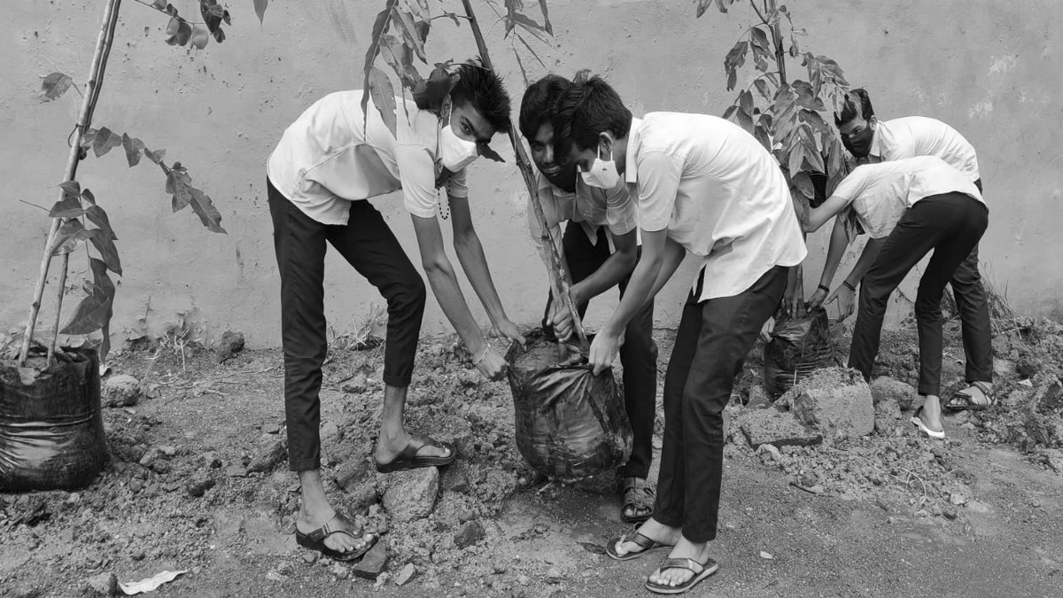 change-ngo-Plantation