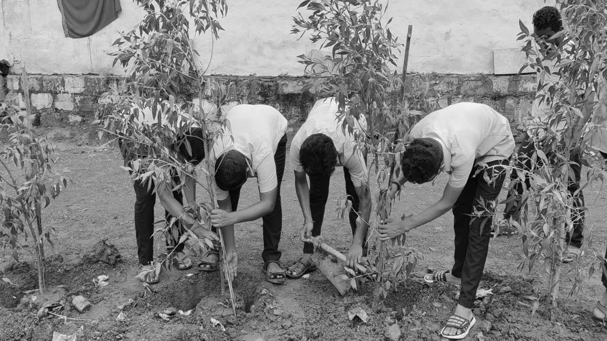 change-ngo-Plantation