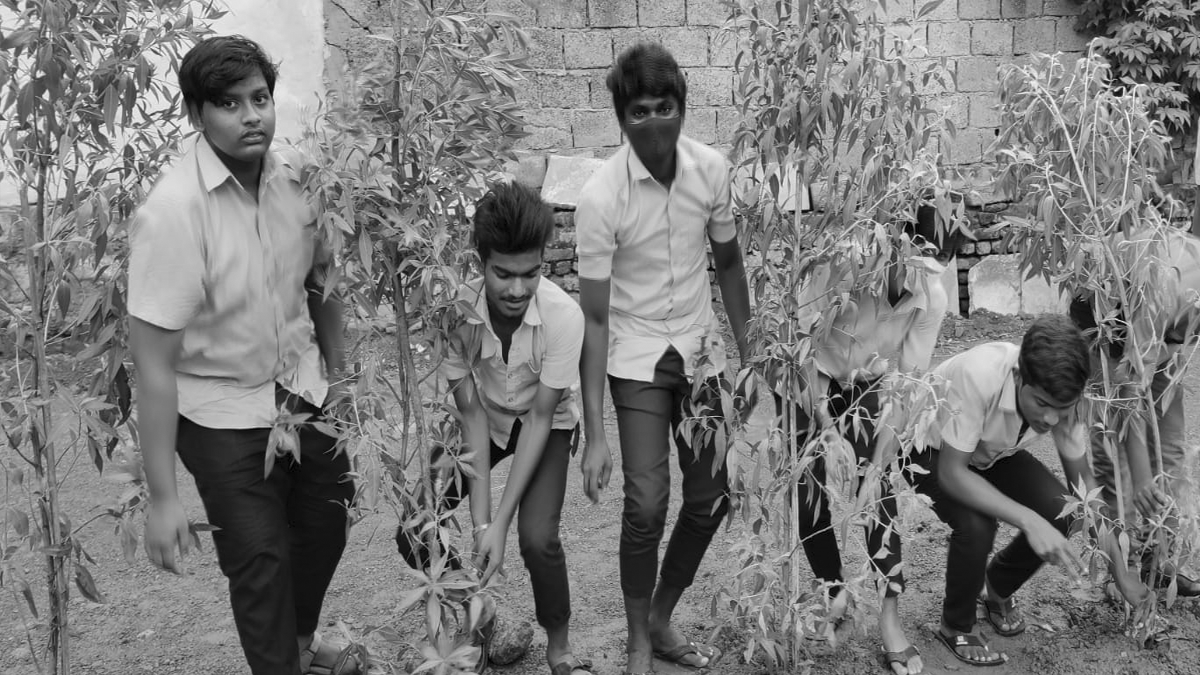 change-ngo-Plantation