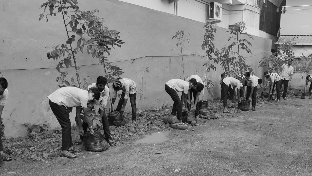 change-ngo-Plantation